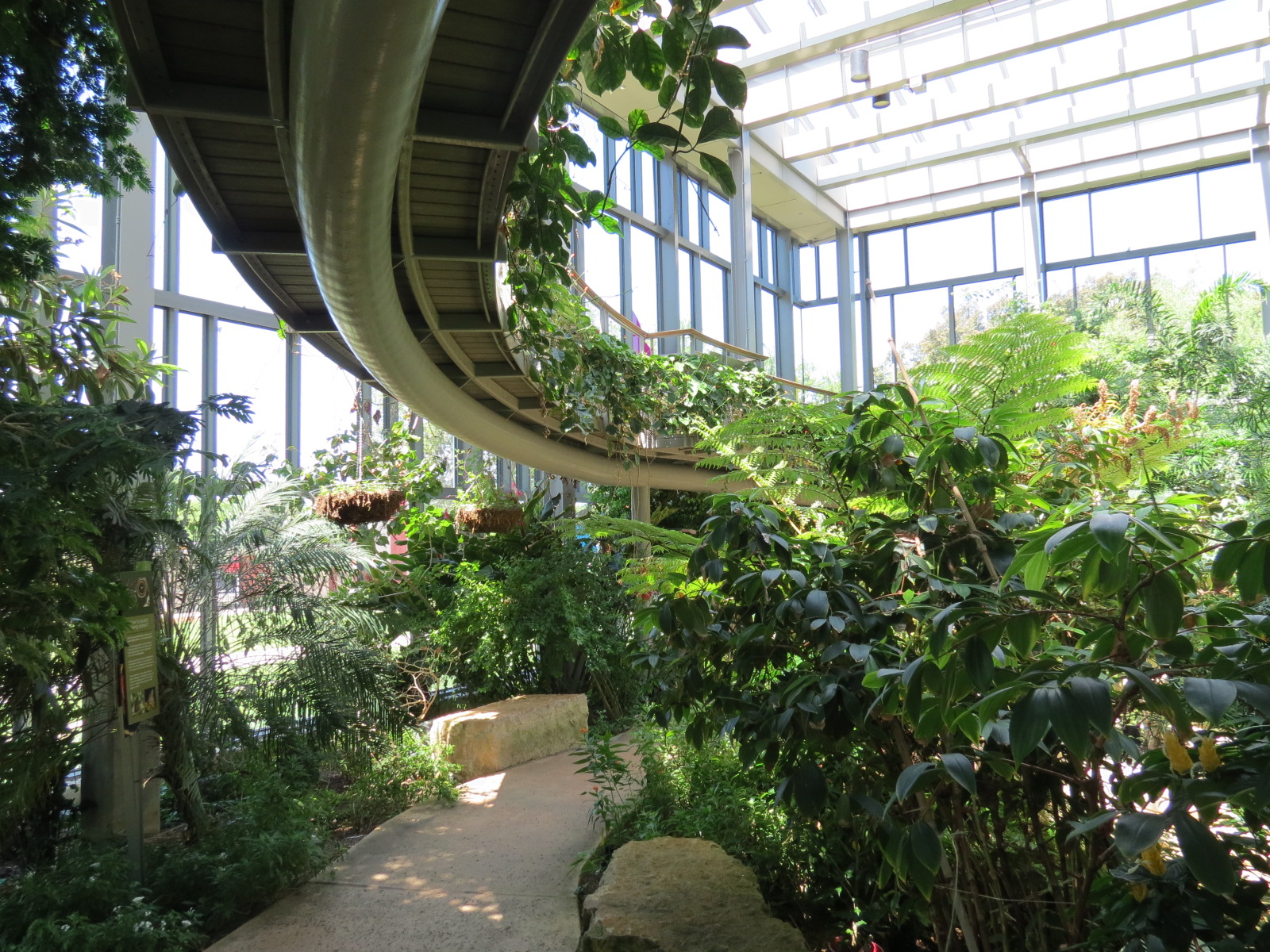 Butterfly House - Path Below Elevated Path