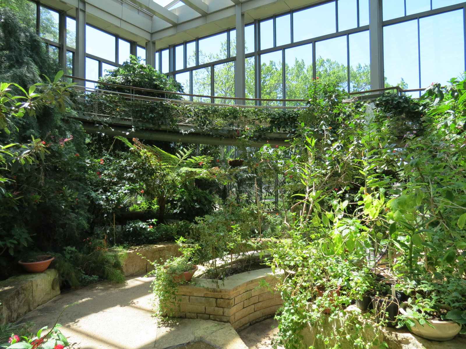 Butterfly House - Path