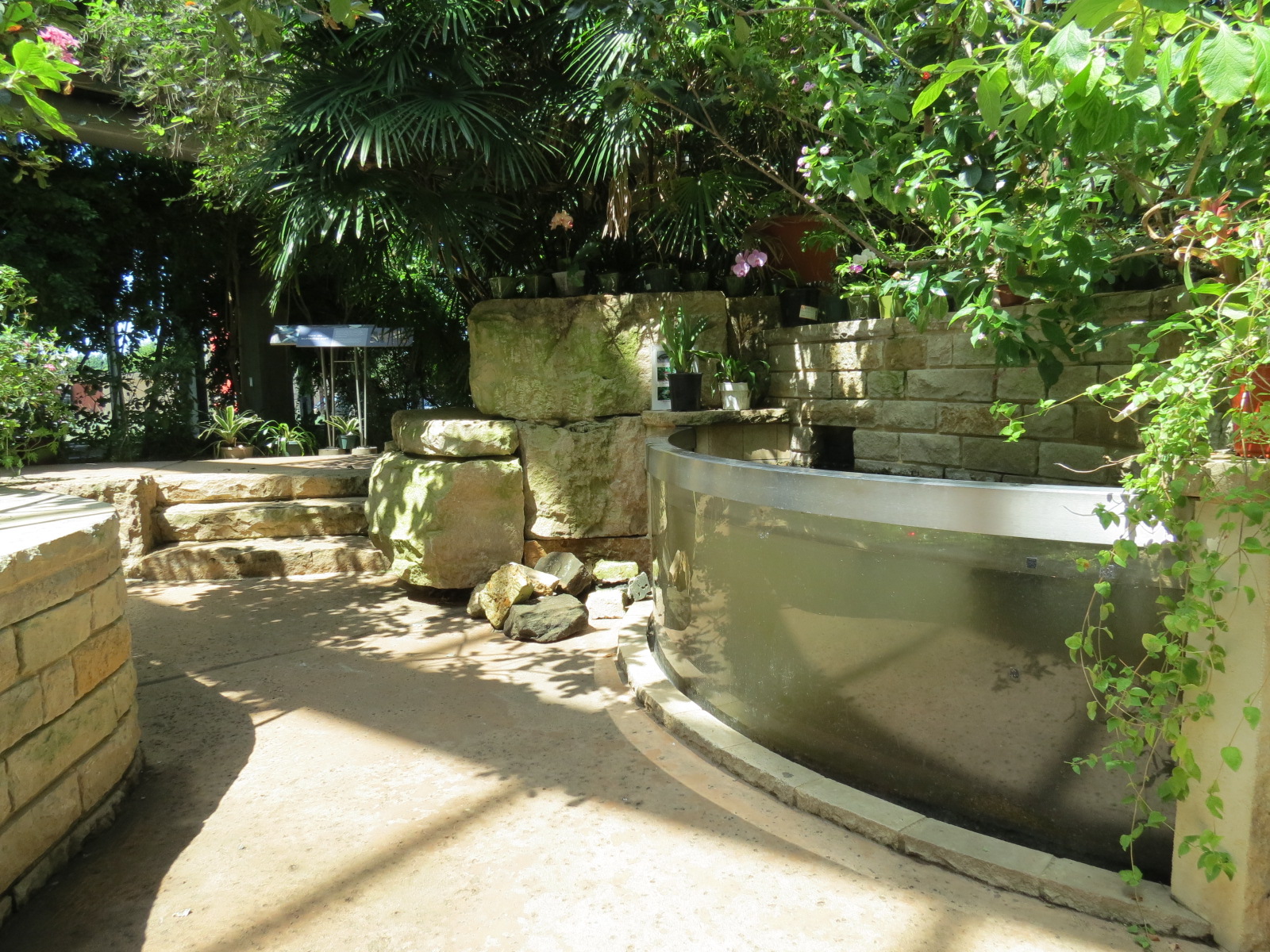 Butterfly House - Pond