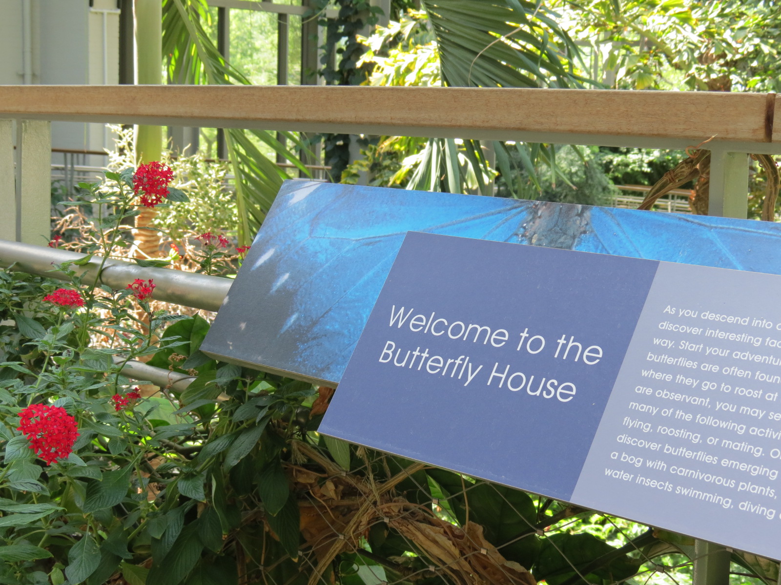 Butterfly House - Sign
