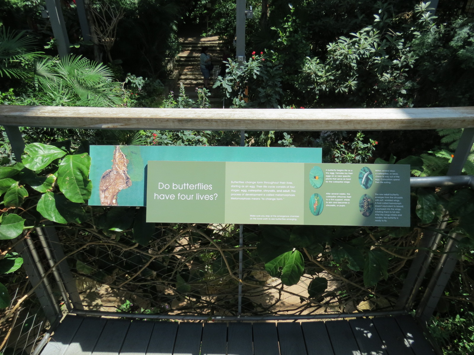 Butterfly House - Sign