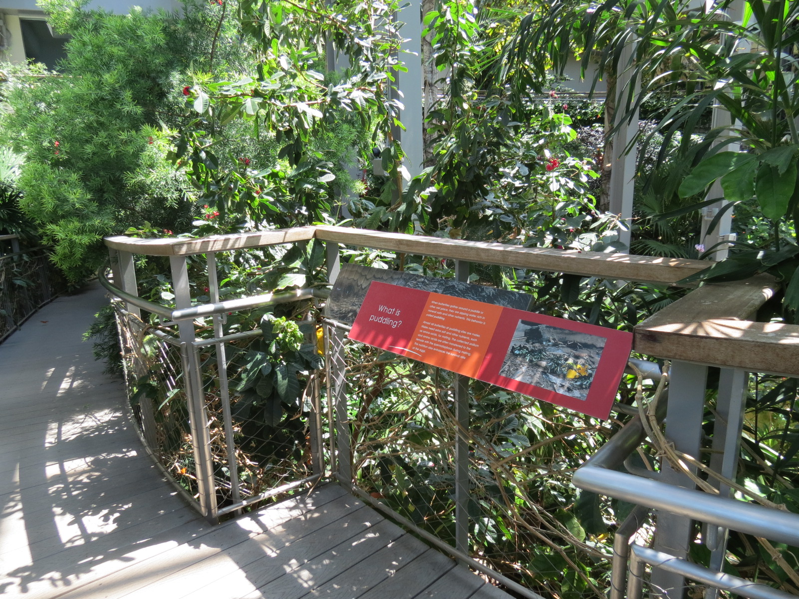 Butterfly House - Sign