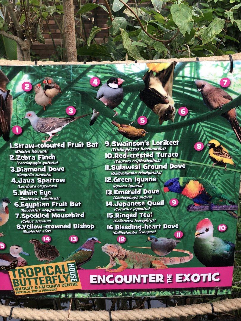 Butterfly House Signage (Inhabitants) at Tropical Butterfly House (March 2023)