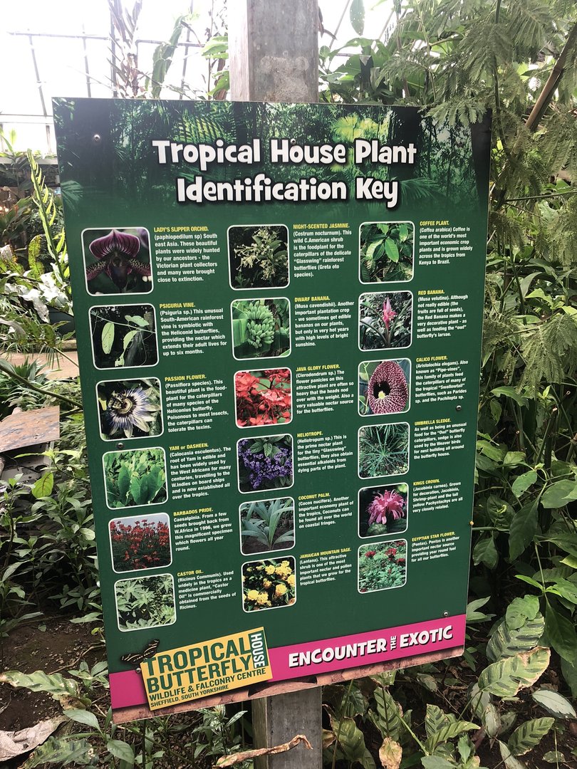 Butterfly House Signage (Plants) at Tropical Butterfly House (March 2023)