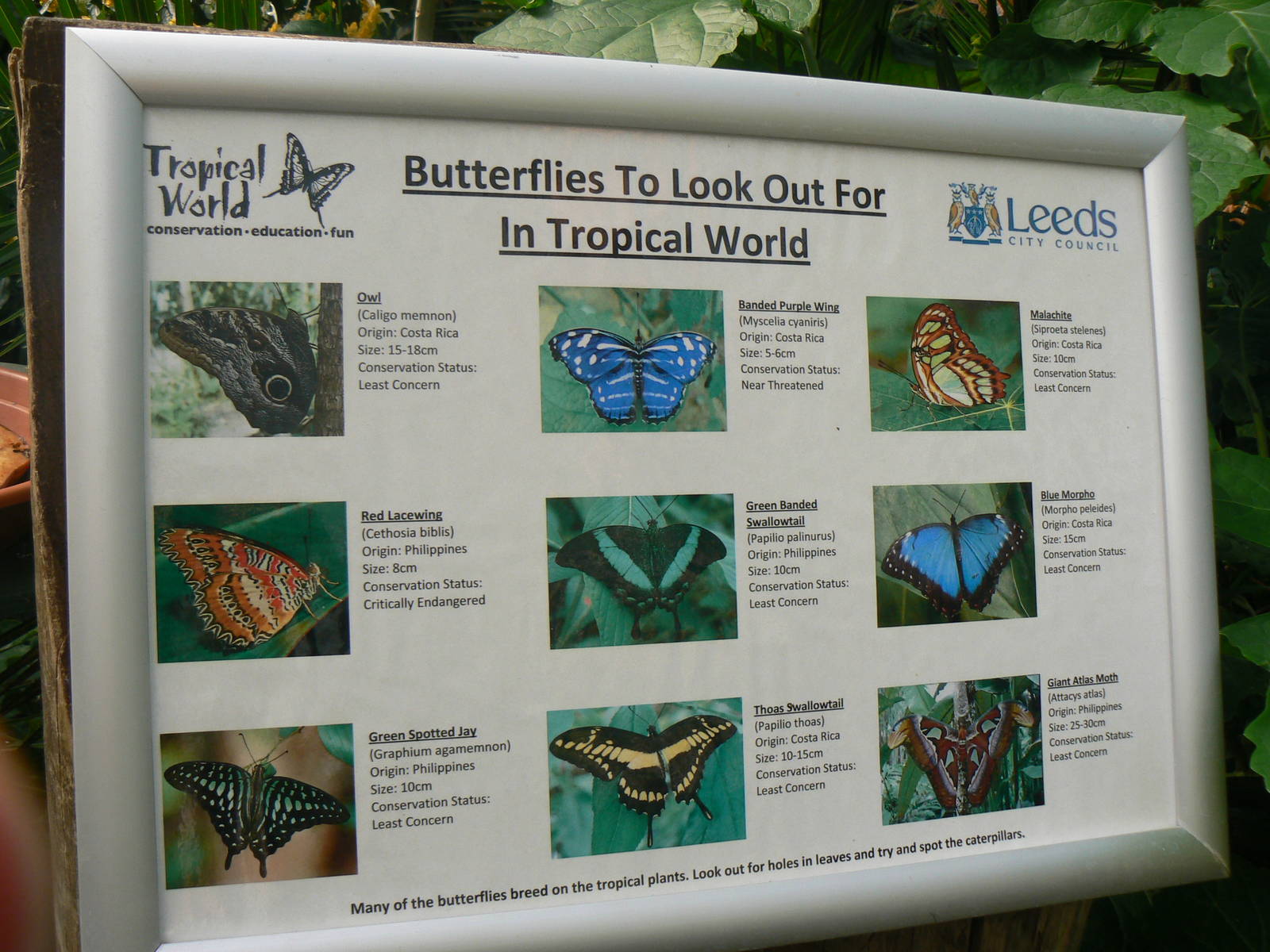 Butterfly House Signage