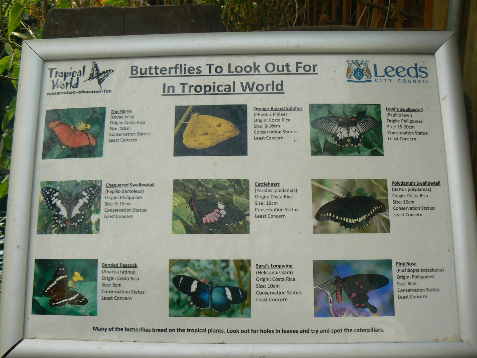 Butterfly House Signage