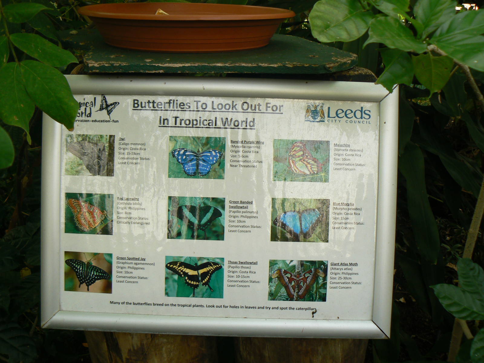 Butterfly House Signage