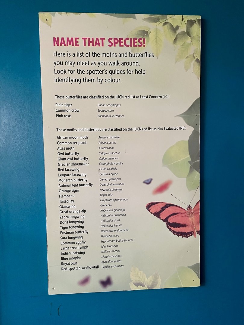 Butterfly House Species List