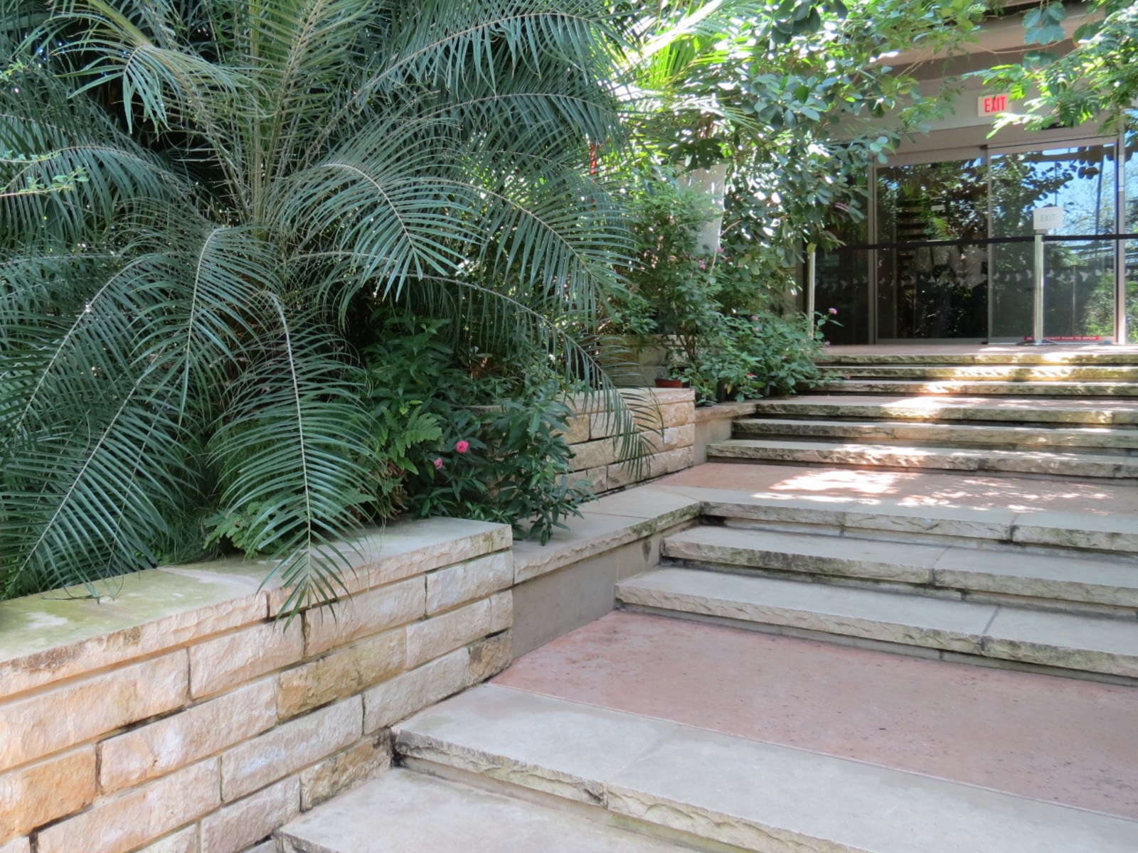 Butterfly House - Steps