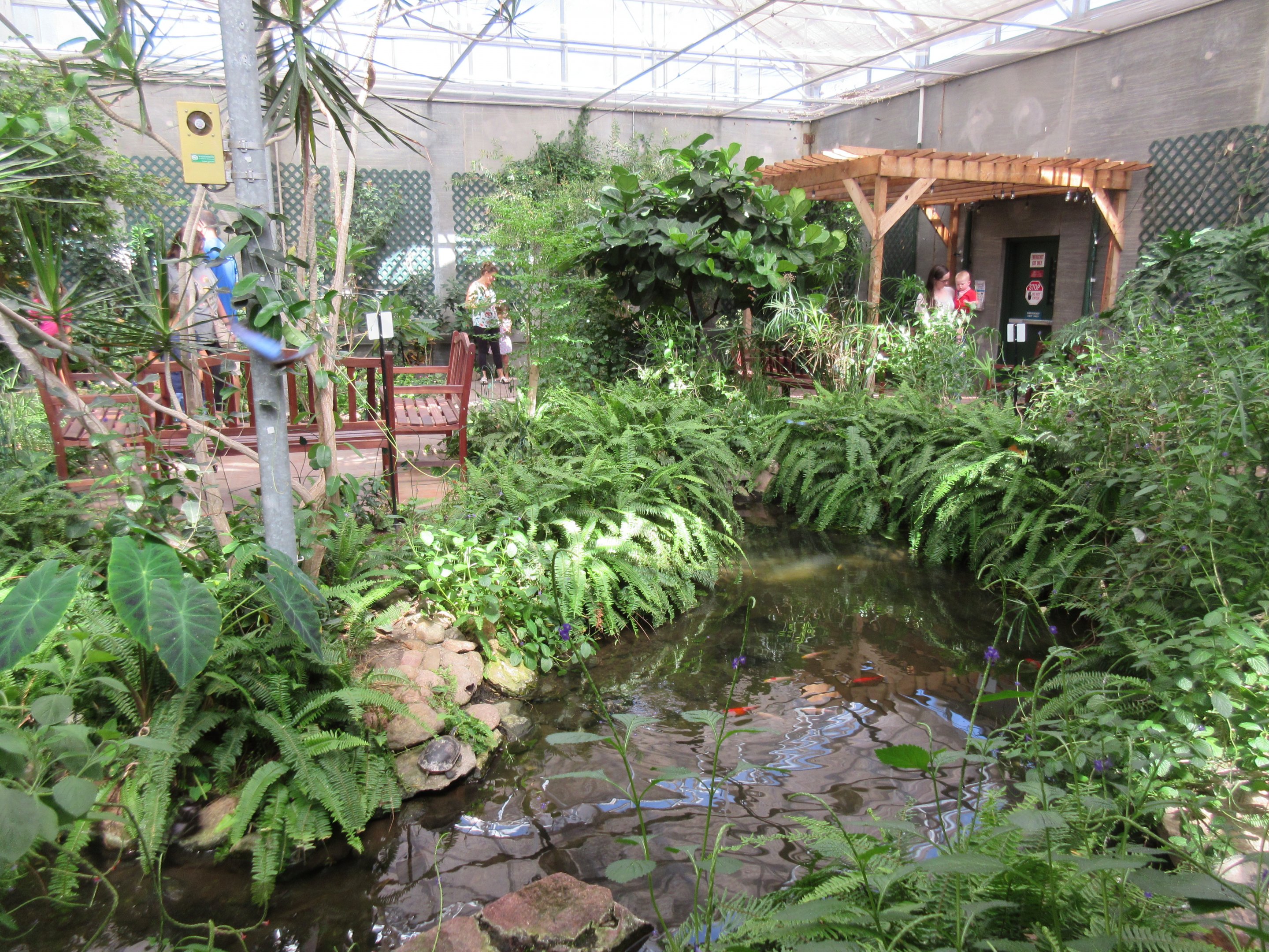 Butterfly House - Turtle Pond