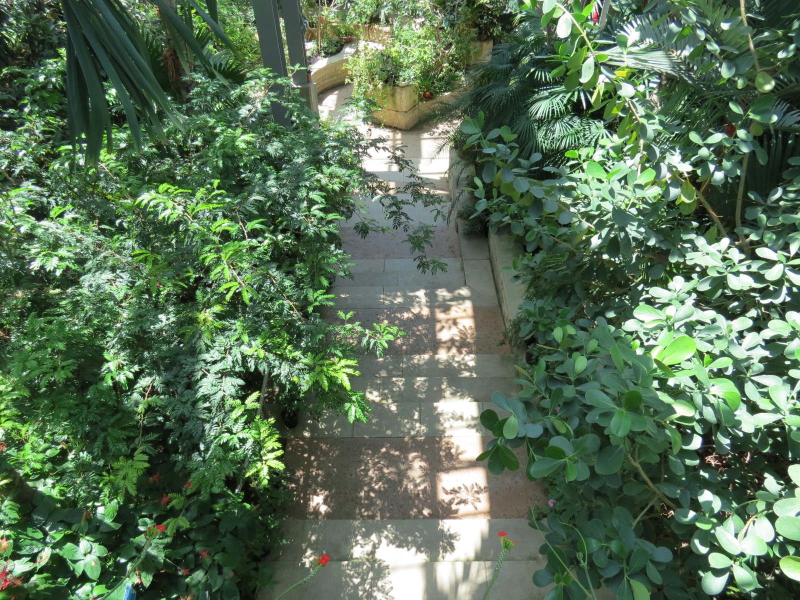 Butterfly House - View from Entry Landing