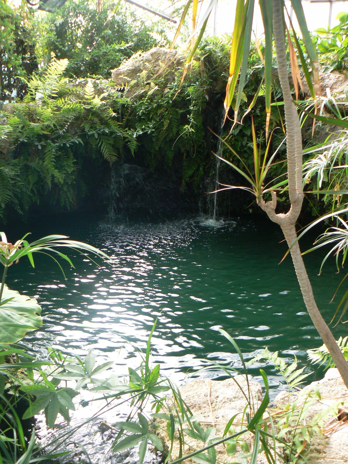 Butterfly House View