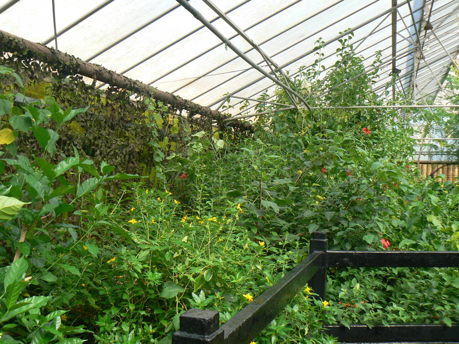 Butterfly House View