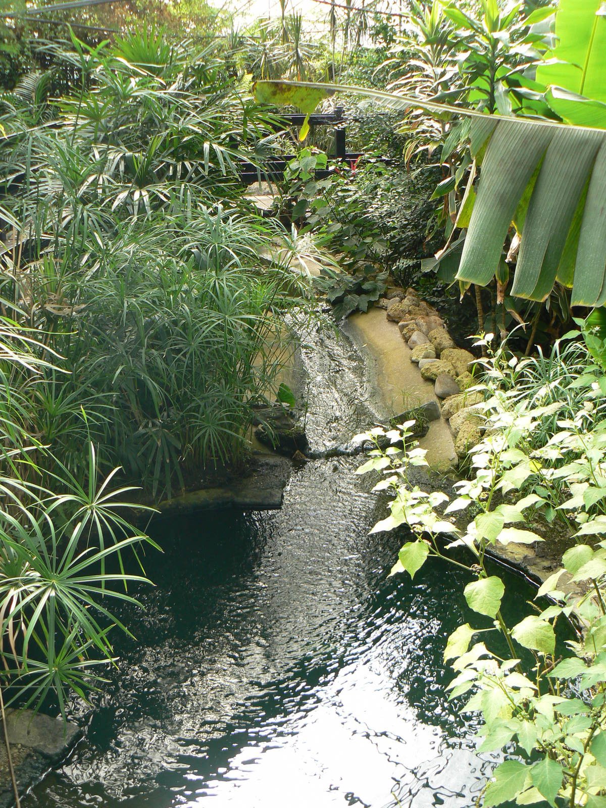 Butterfly House View