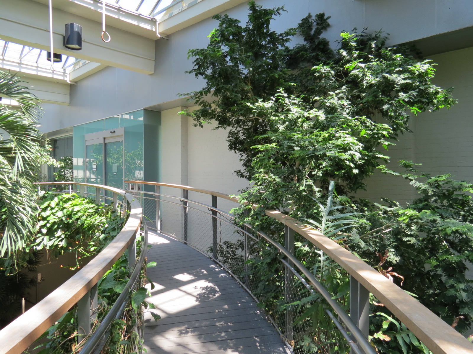 Butterfly House - Visitor Path