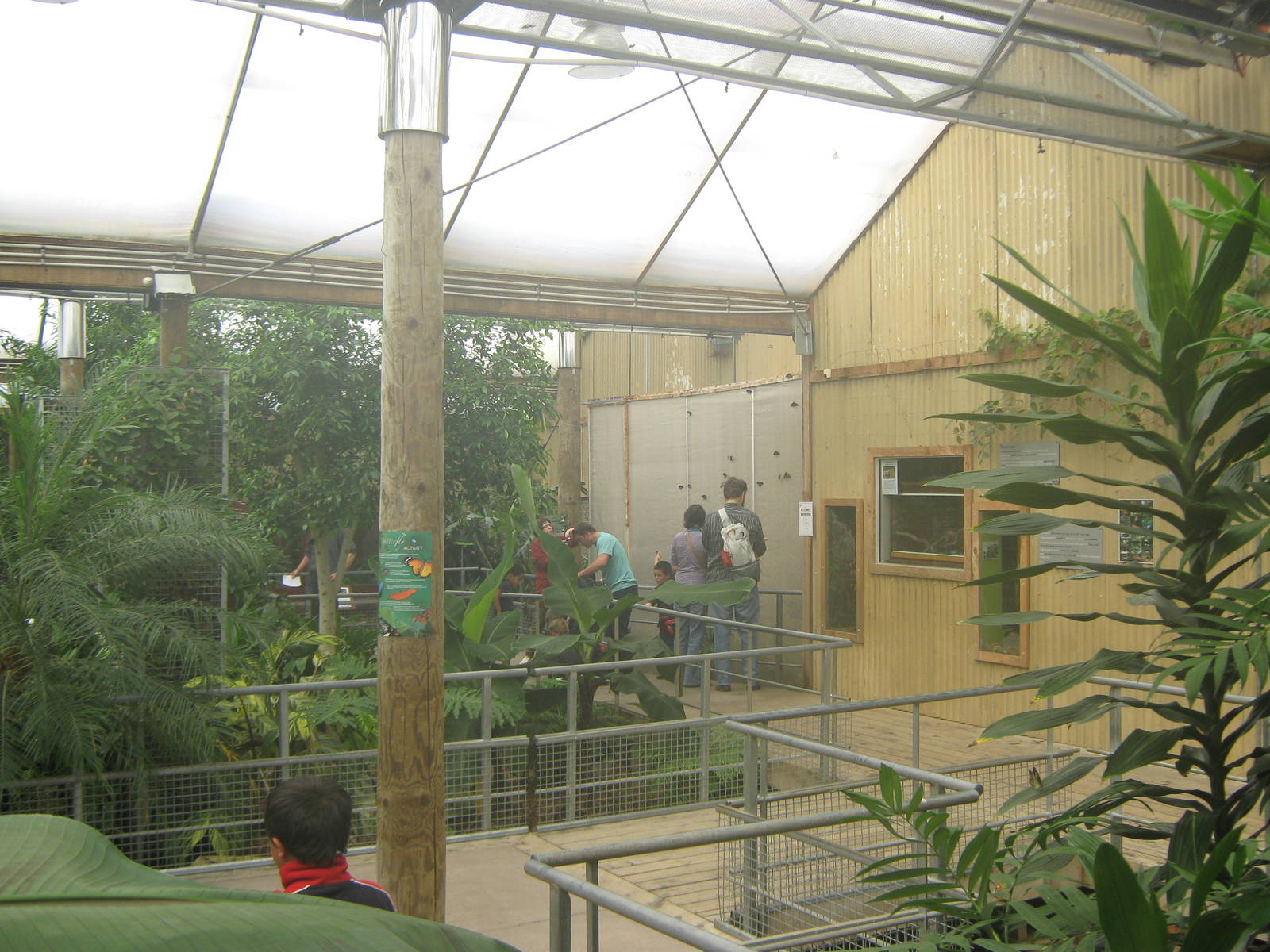 butterfly house