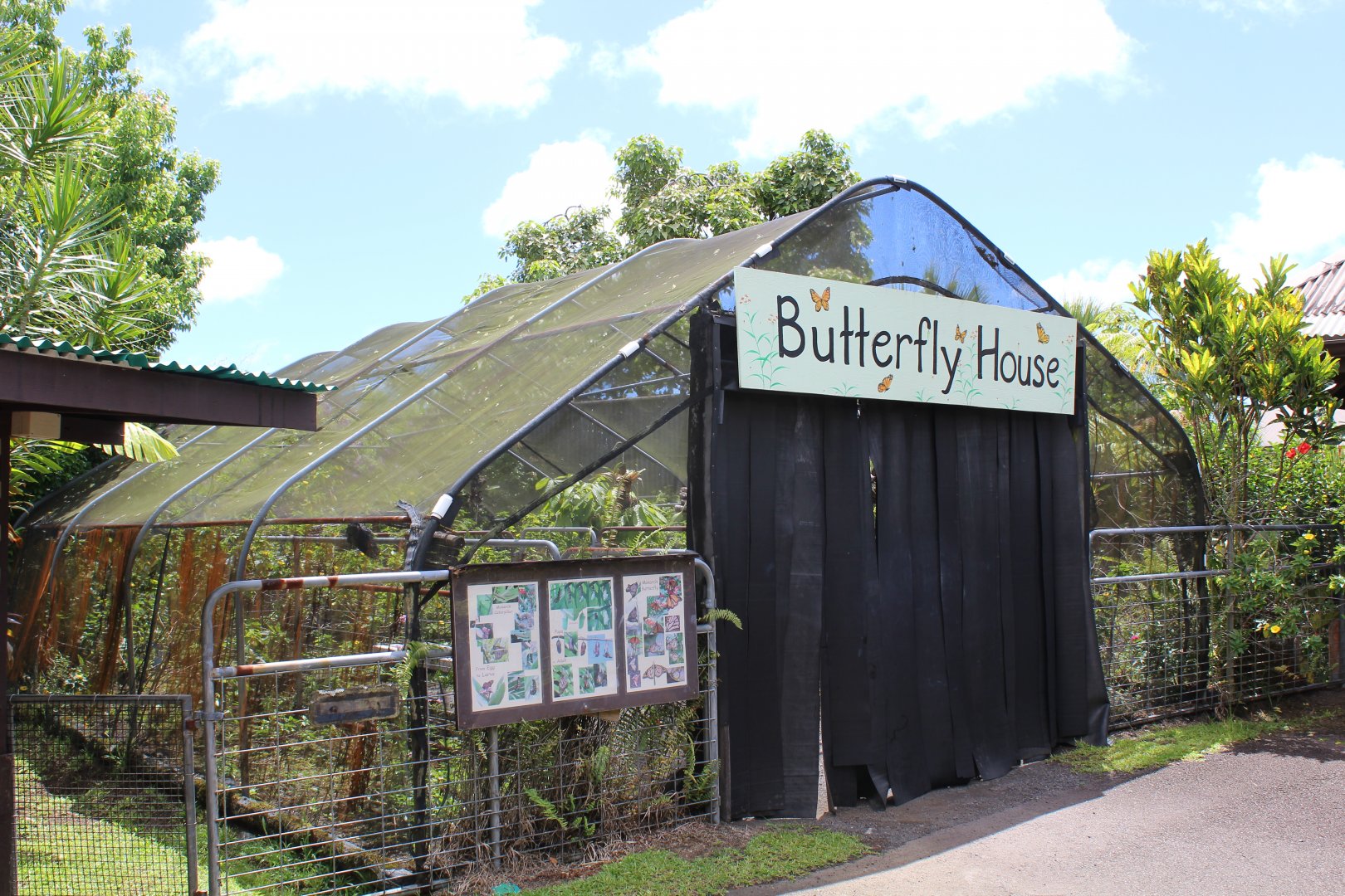Butterfly House
