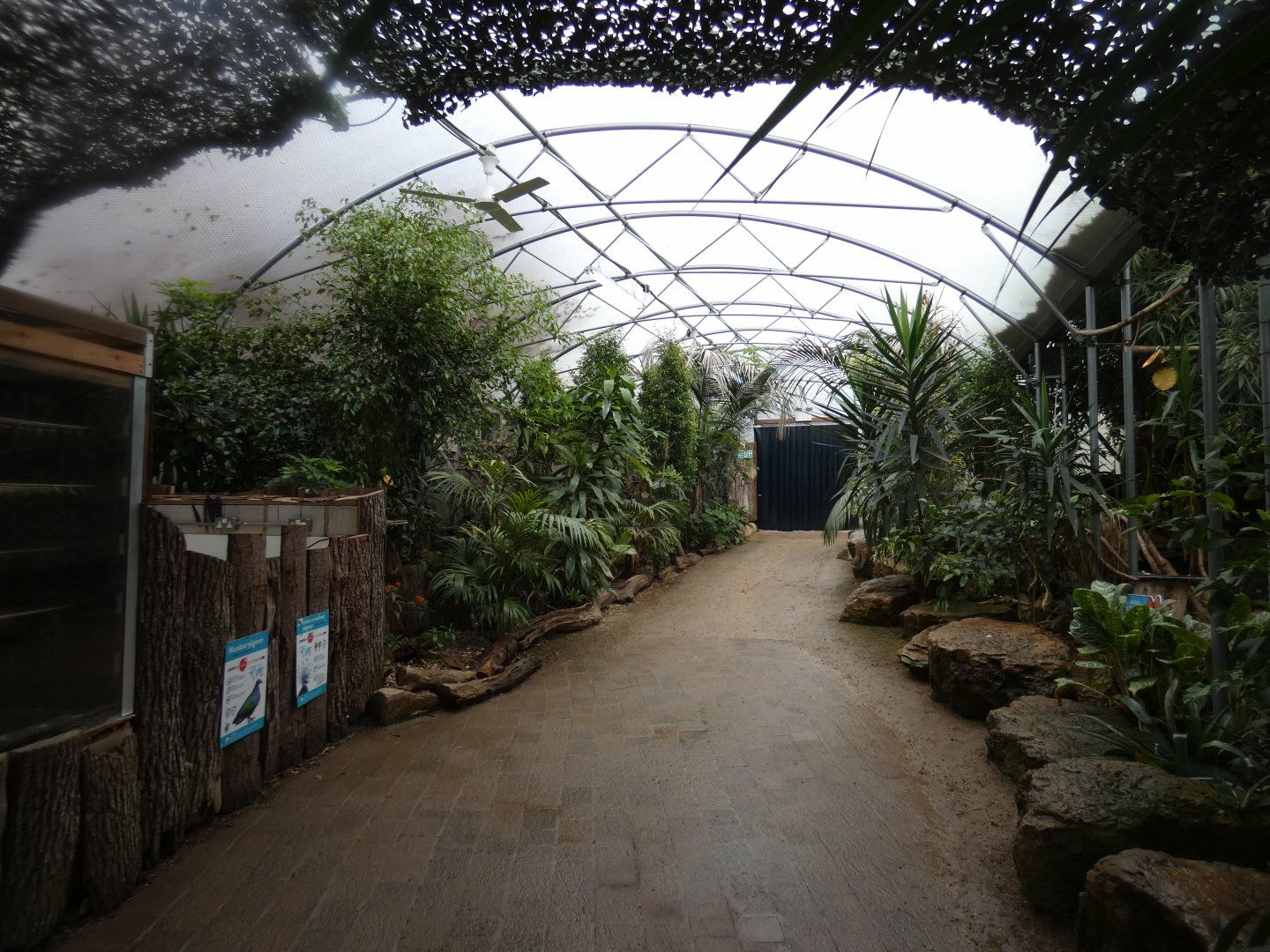 Butterfly house