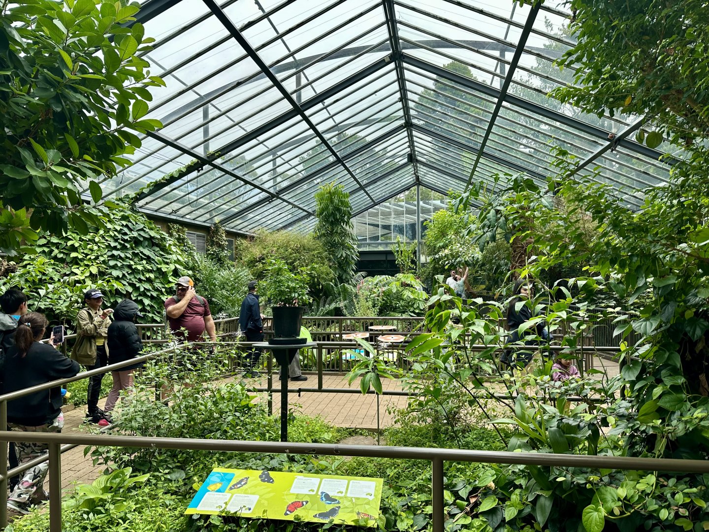 Butterfly House