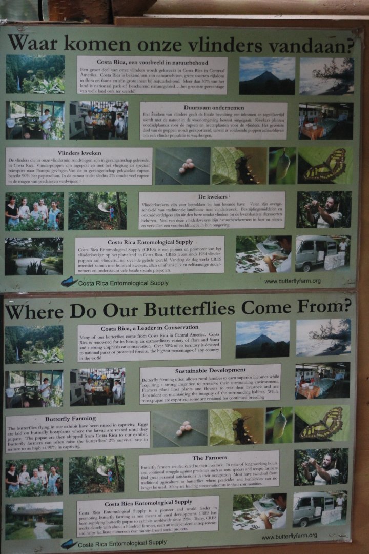 Butterfly-info-sign