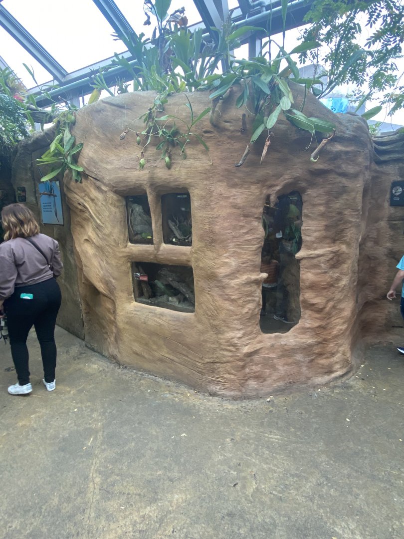 Butterfly & Insect Pavilion - Assorted Terrarium