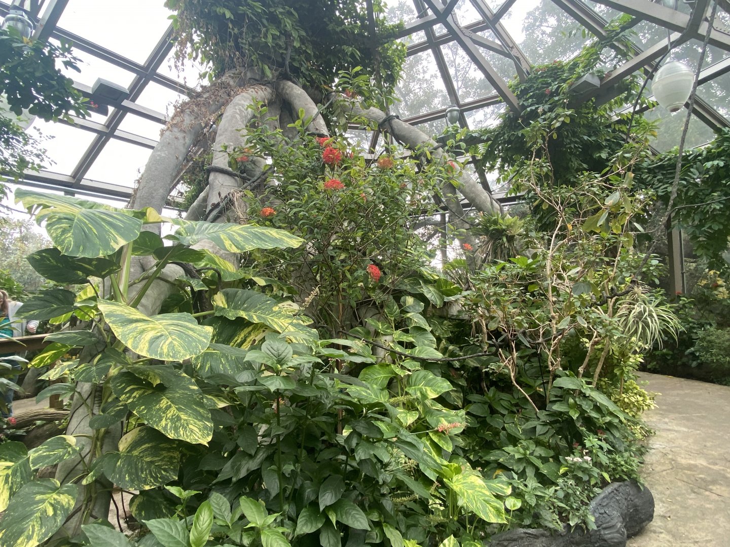 Butterfly & Insect Pavilion - Butterfly Walk-Through