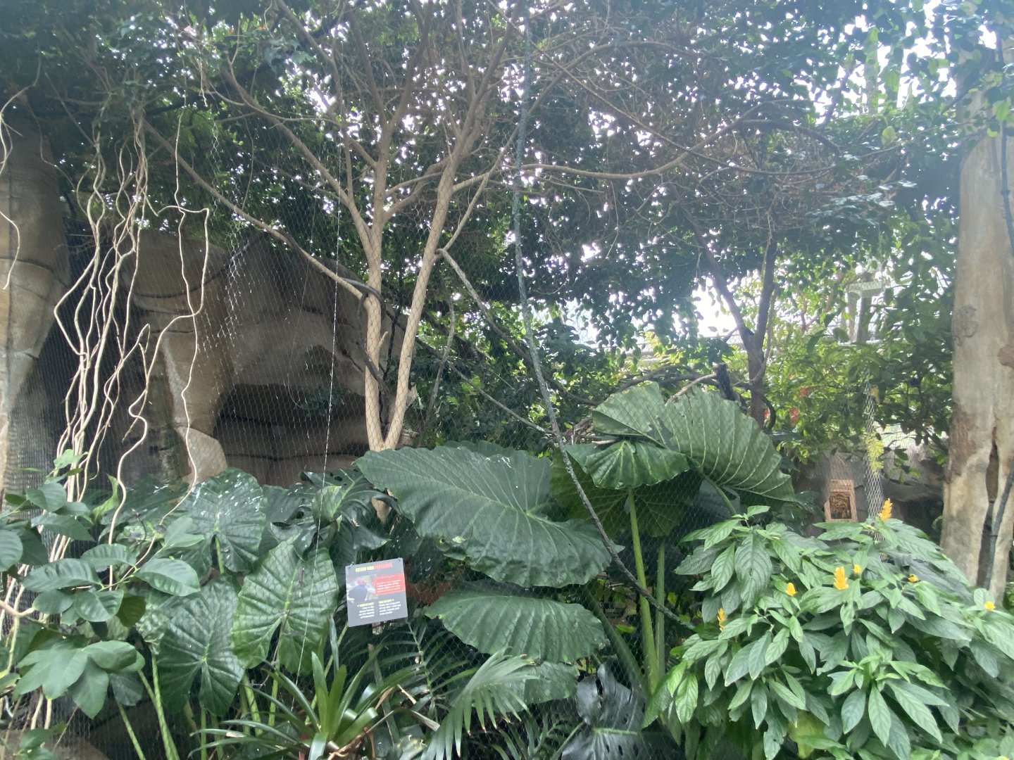 Butterfly & Insect Pavilion - Crested Wood Partridge/Blue Crowned Laughingthrush Exhibit