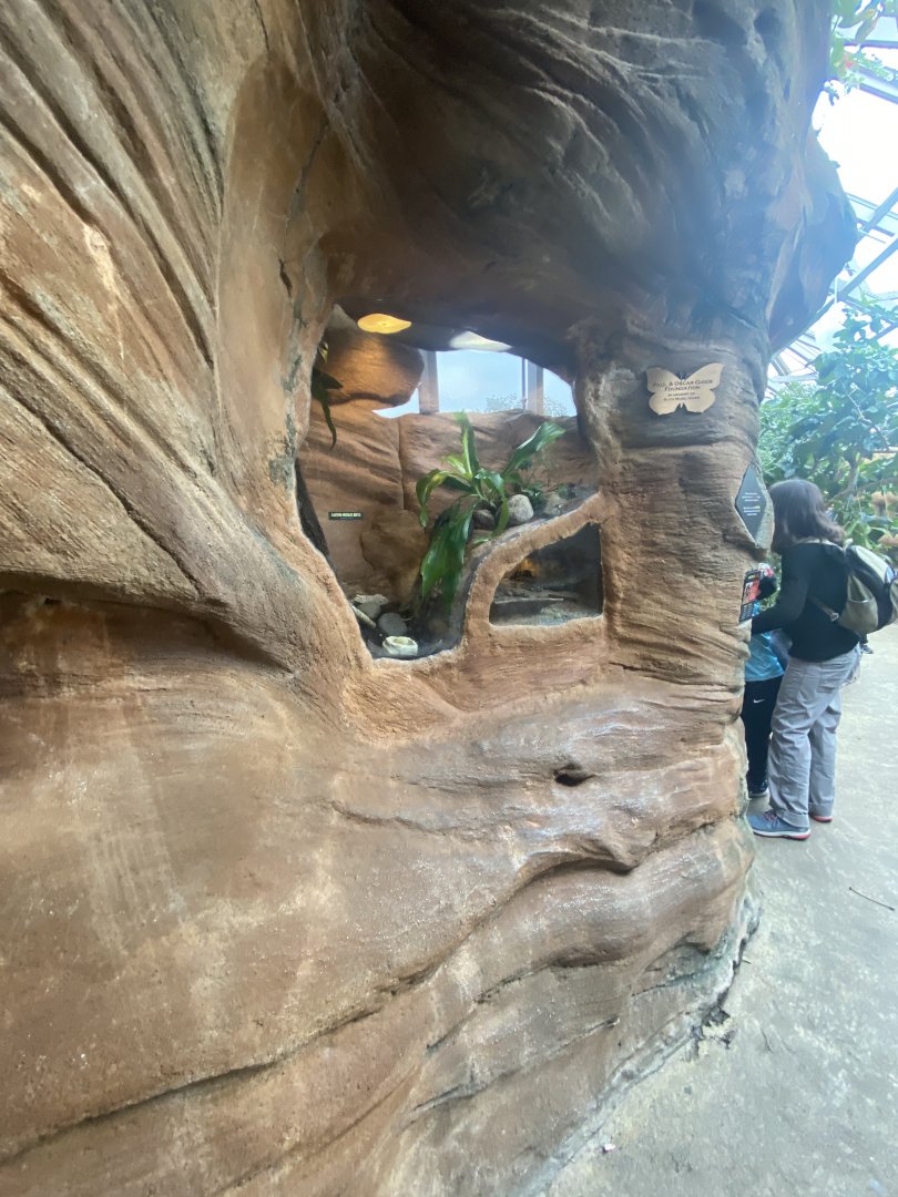 Butterfly & Insect Pavilion - Hercules Bettle & Mexican Flame-Legged Tarantula Terrarium