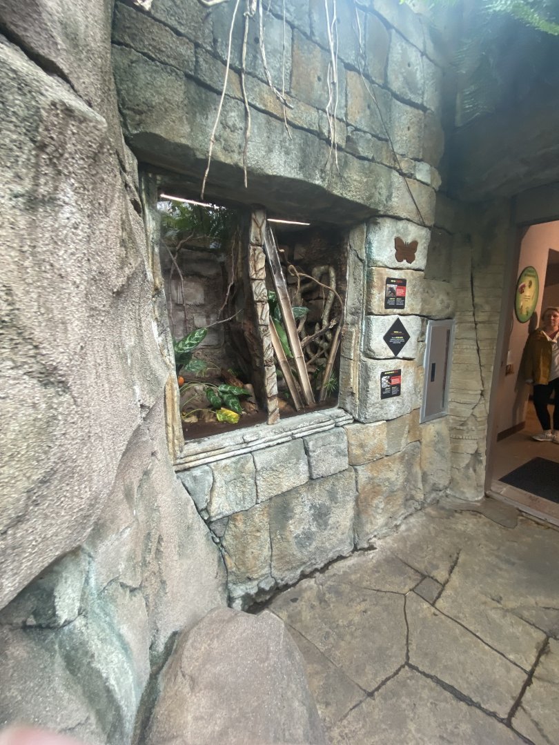 Butterfly & Insect Pavilion - White-Toe Tarantula/Jade-Headed Buffalo Beetle Terrarium