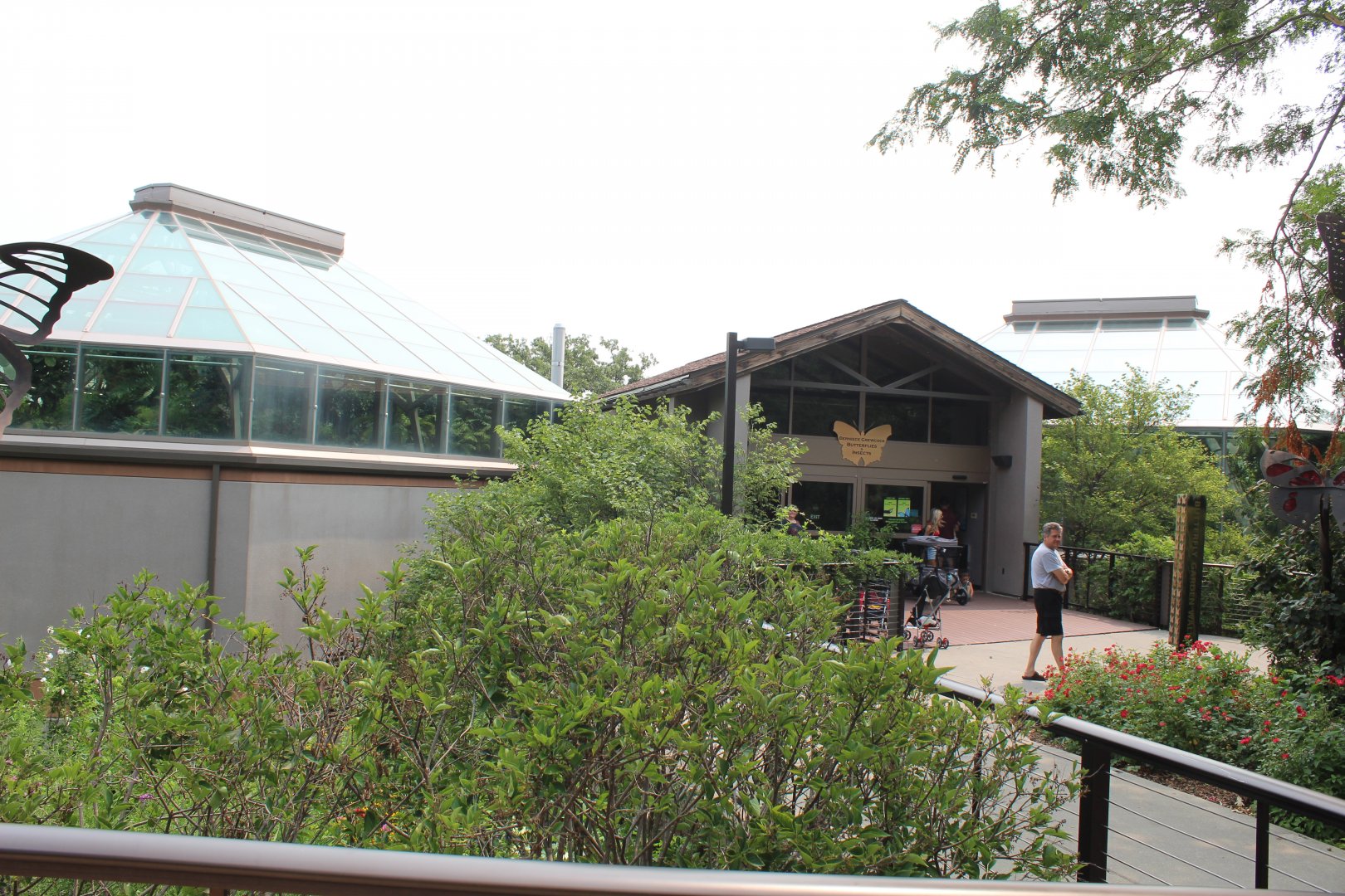 Butterfly & Insect Pavillion