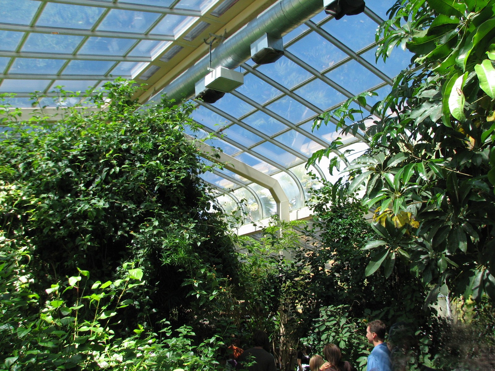 Butterfly - Interior