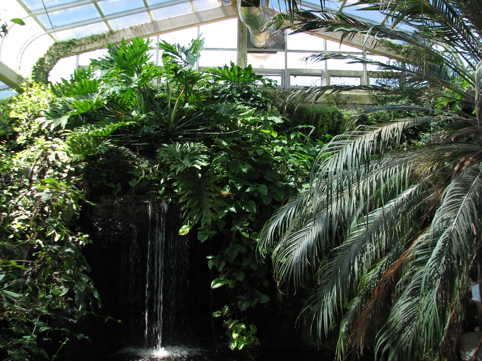 Butterfly - Interior