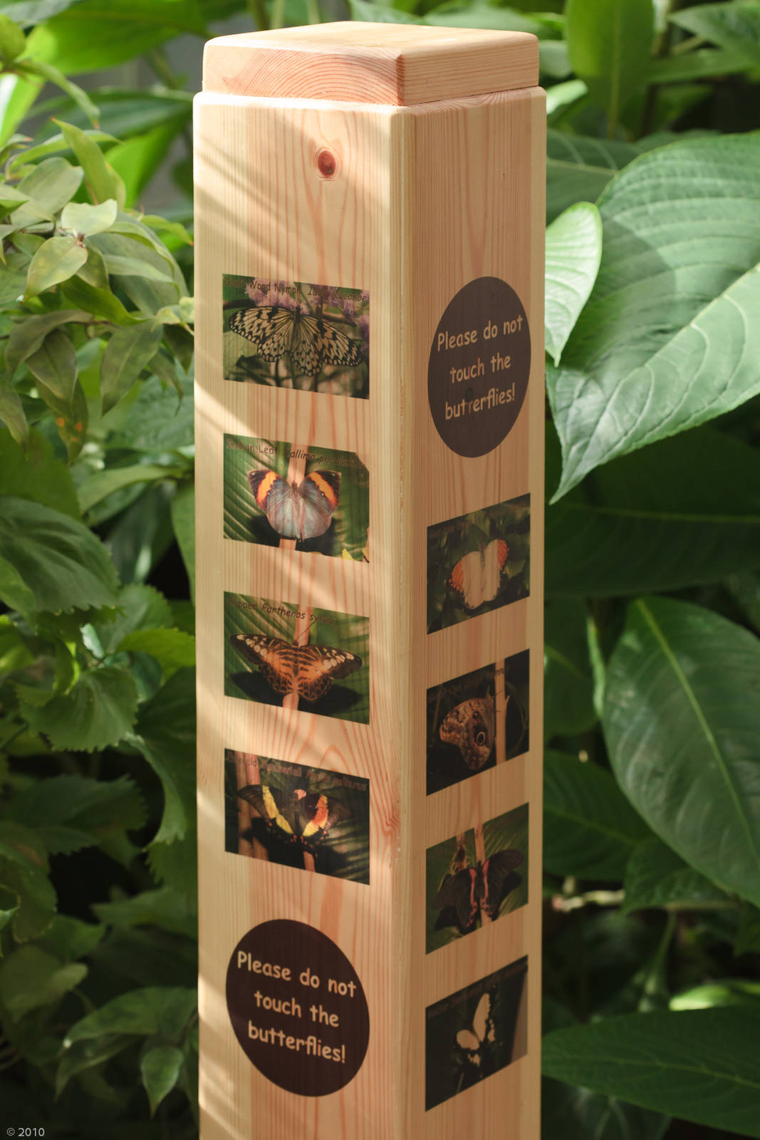 Butterfly Journey - New Identification Boards