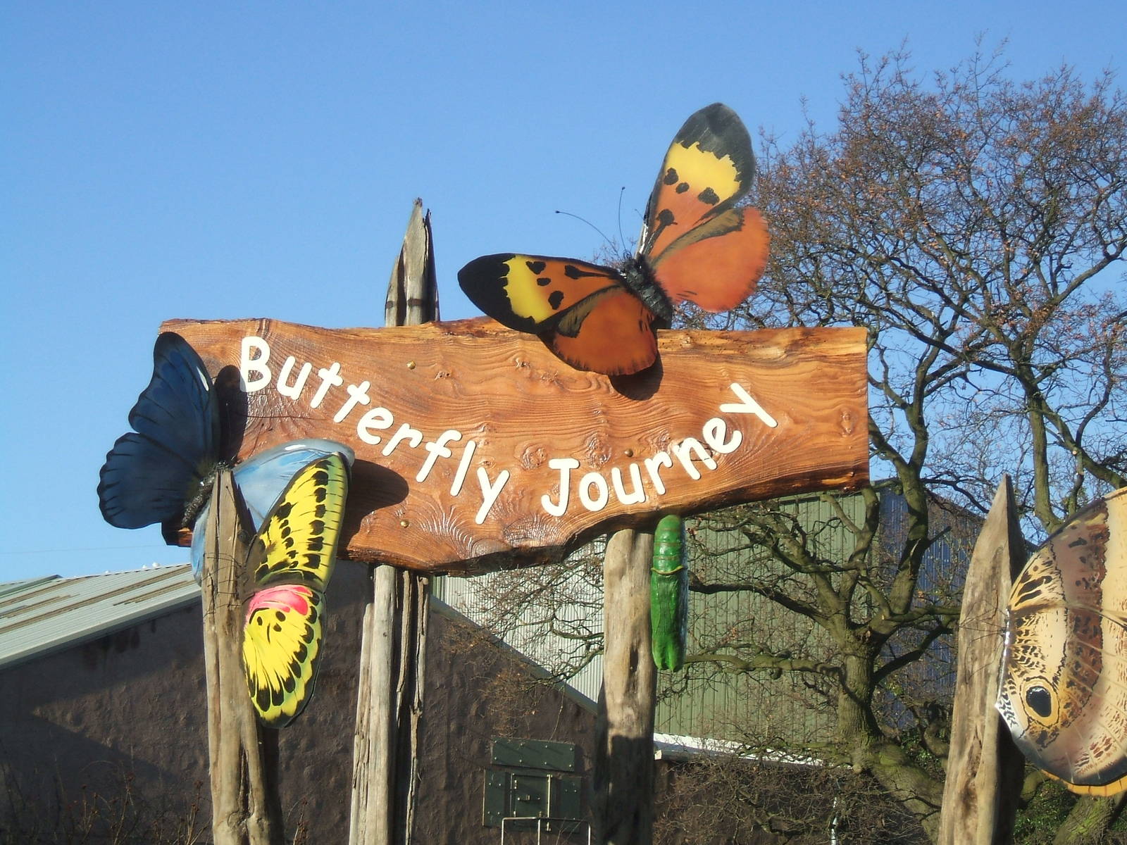 Butterfly Journey