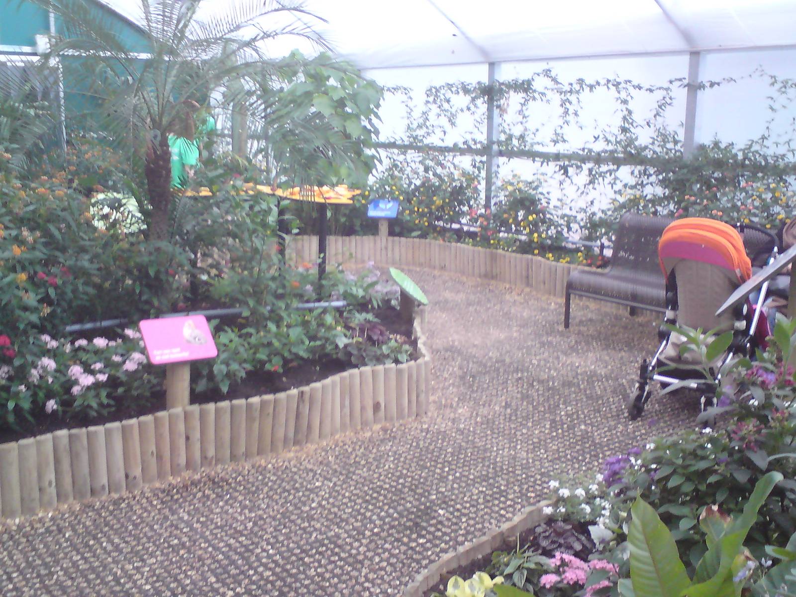 Butterfly Jungle, Natural History Museum