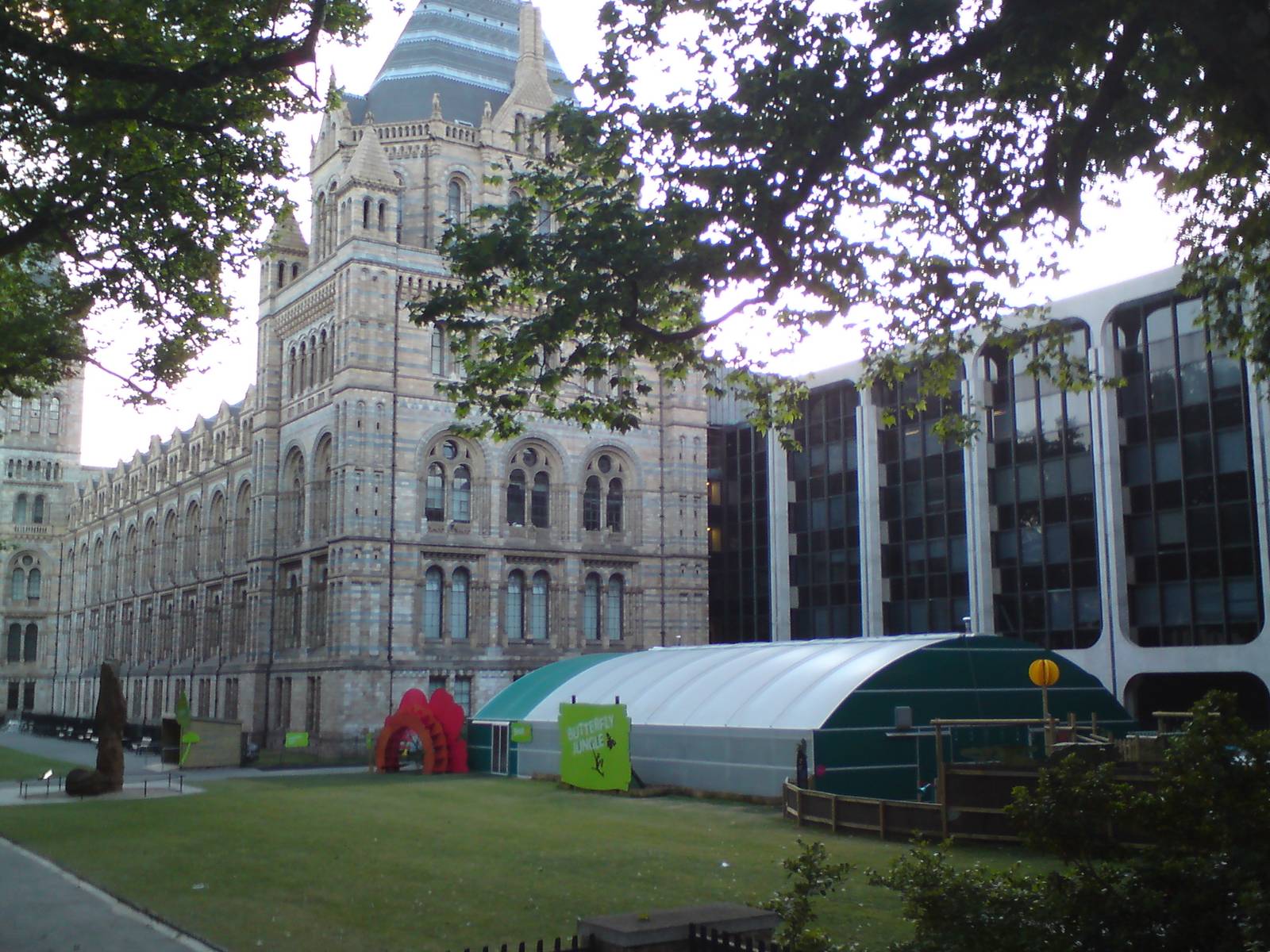 Butterfly Jungle, Natural History Museum