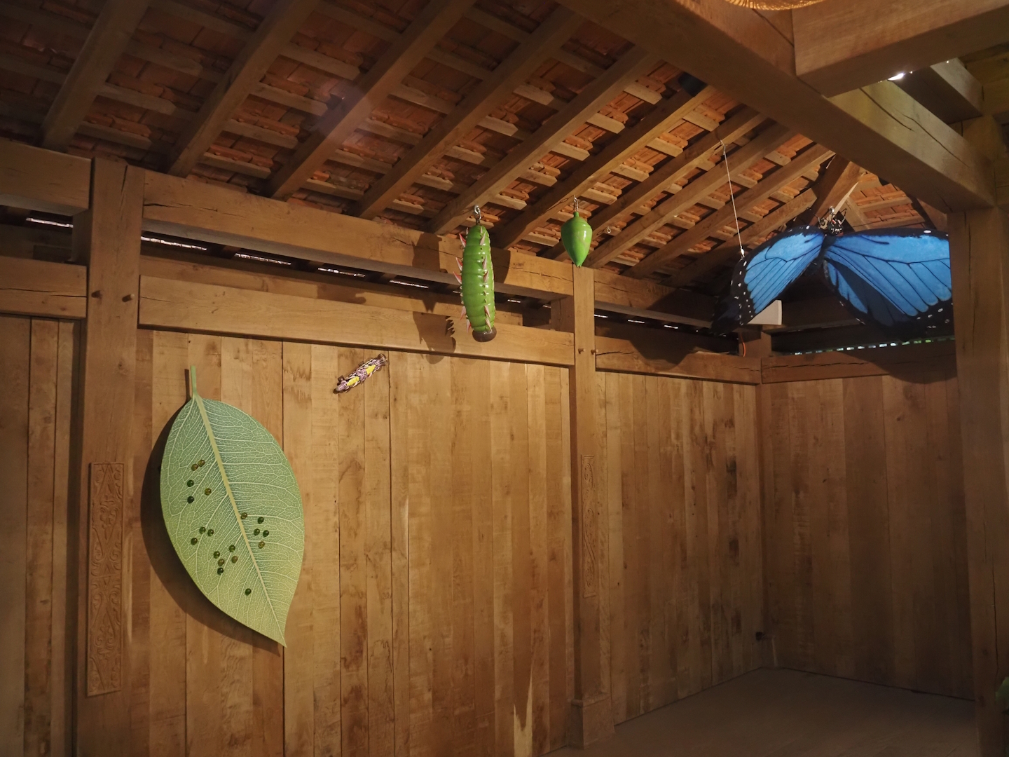 Butterfly lifecycle models in the Asian greenhouse, 2025-06-03