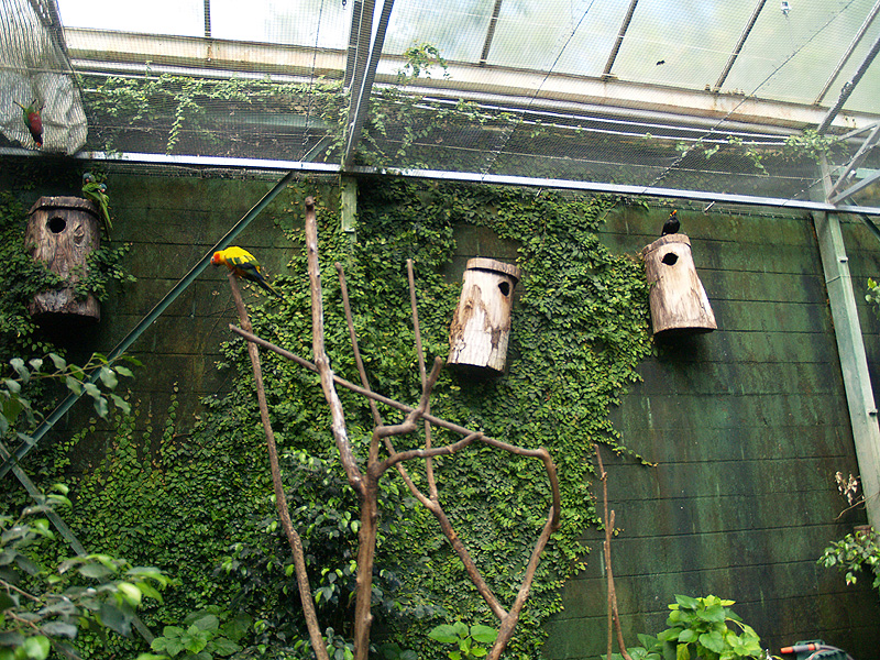 Butterfly Park