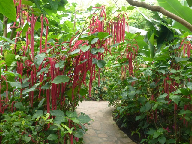 Butterfly Pavilion 23.6.13
