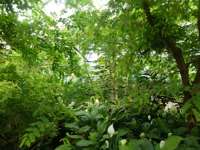 Butterfly Pavilion 27.6.13