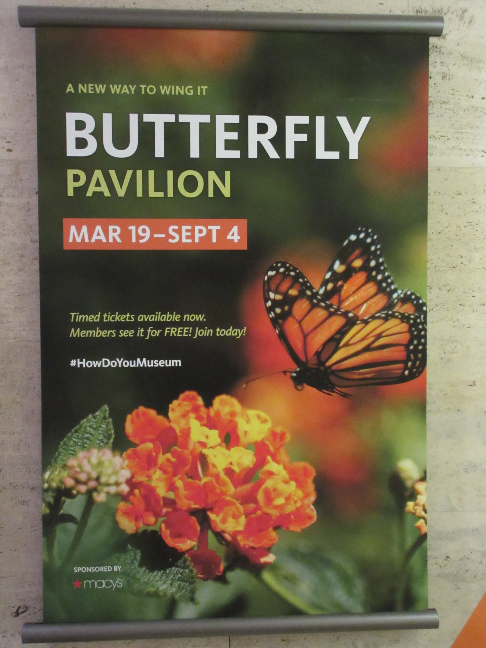 Butterfly Pavilion (the smallest in the nation?)
