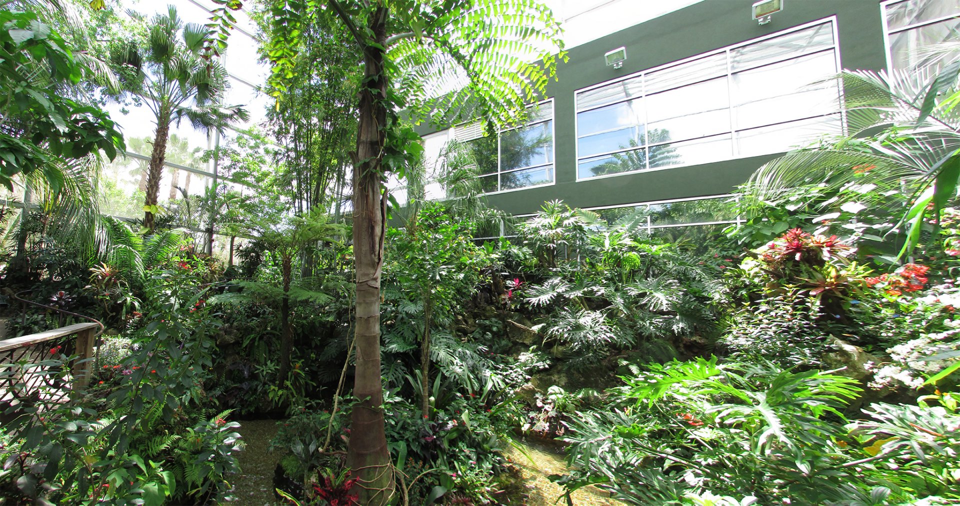 Butterfly Rainforest Panorama 1