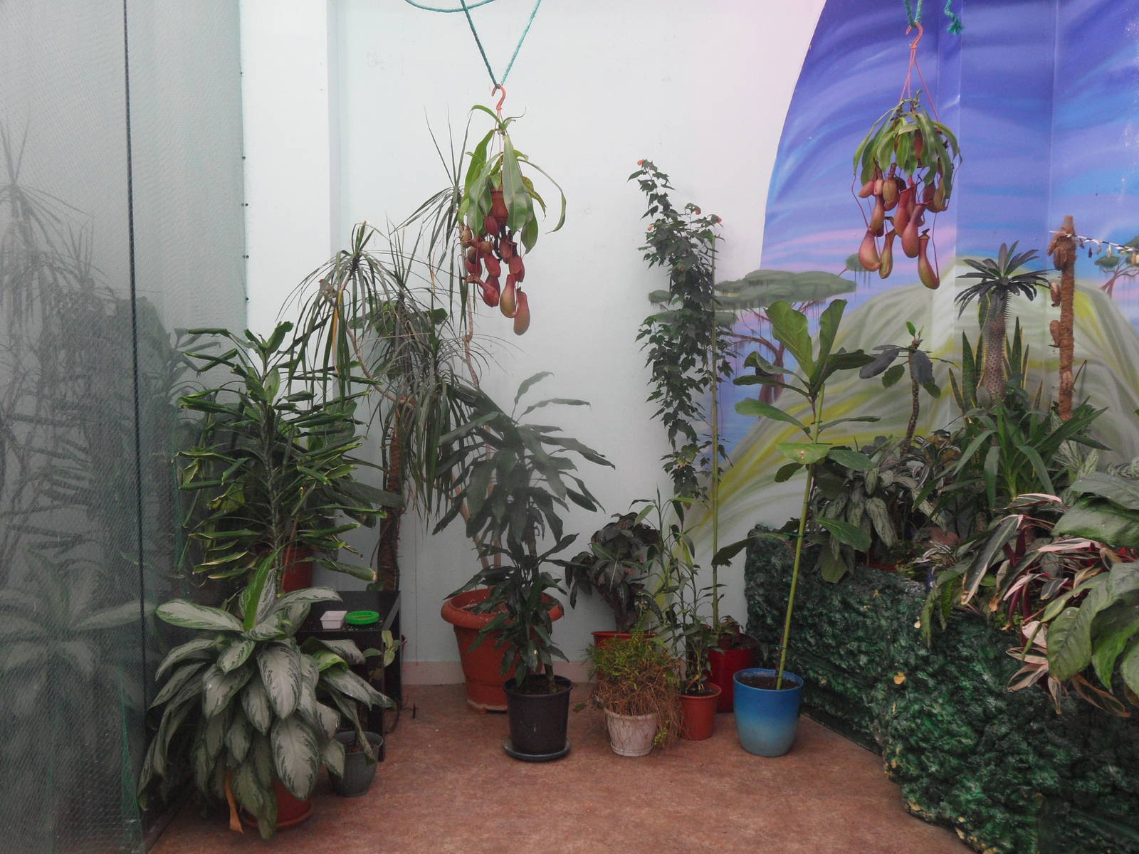 Butterfly room interior 2