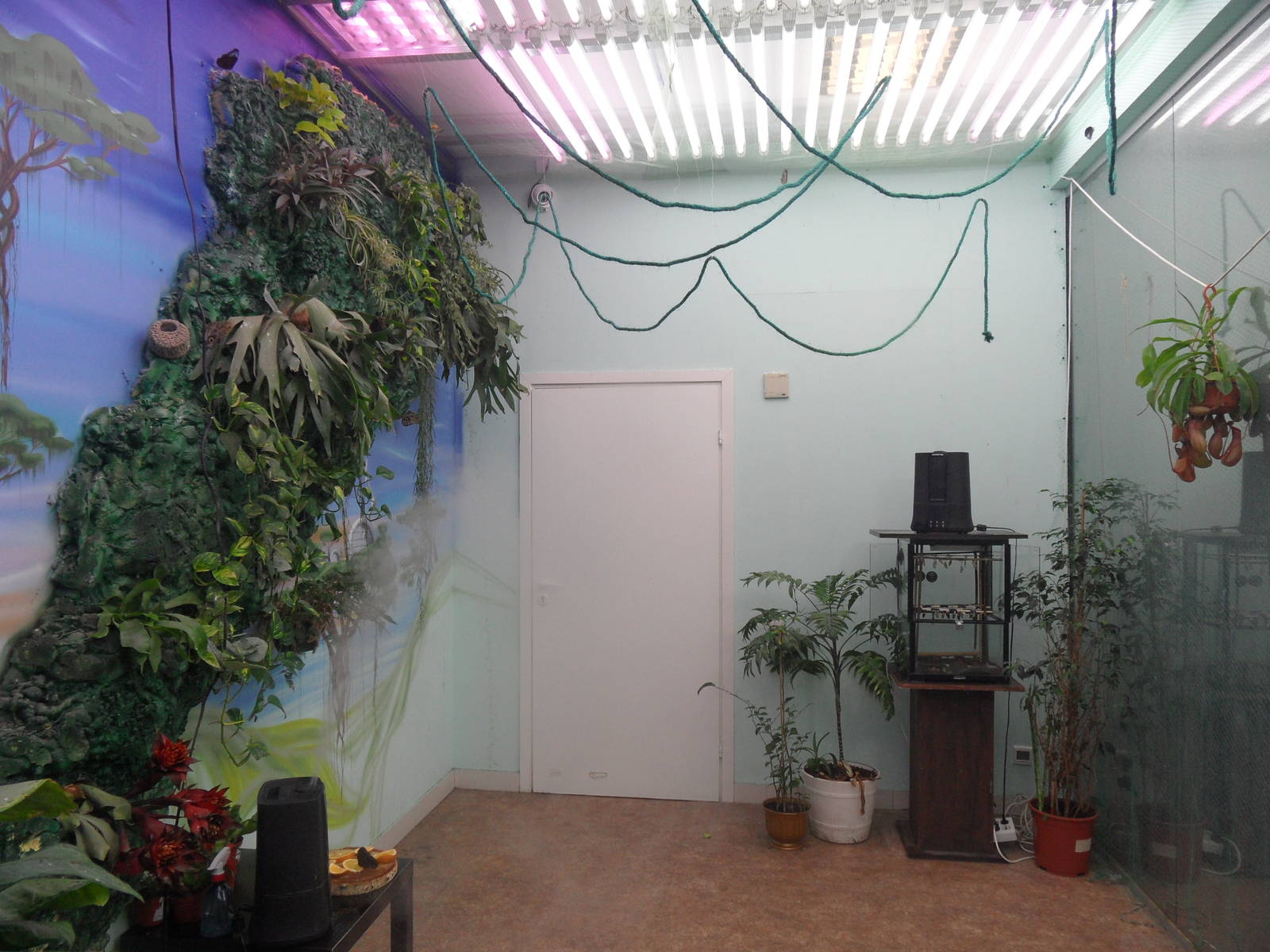 Butterfly room interior