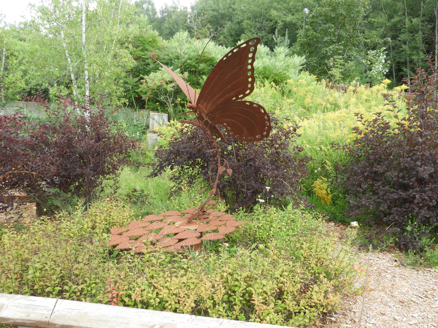 Butterfly Sculpture