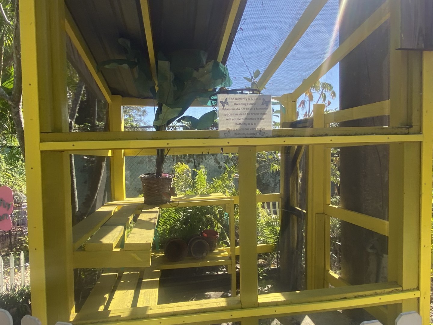 Butterfly Shed