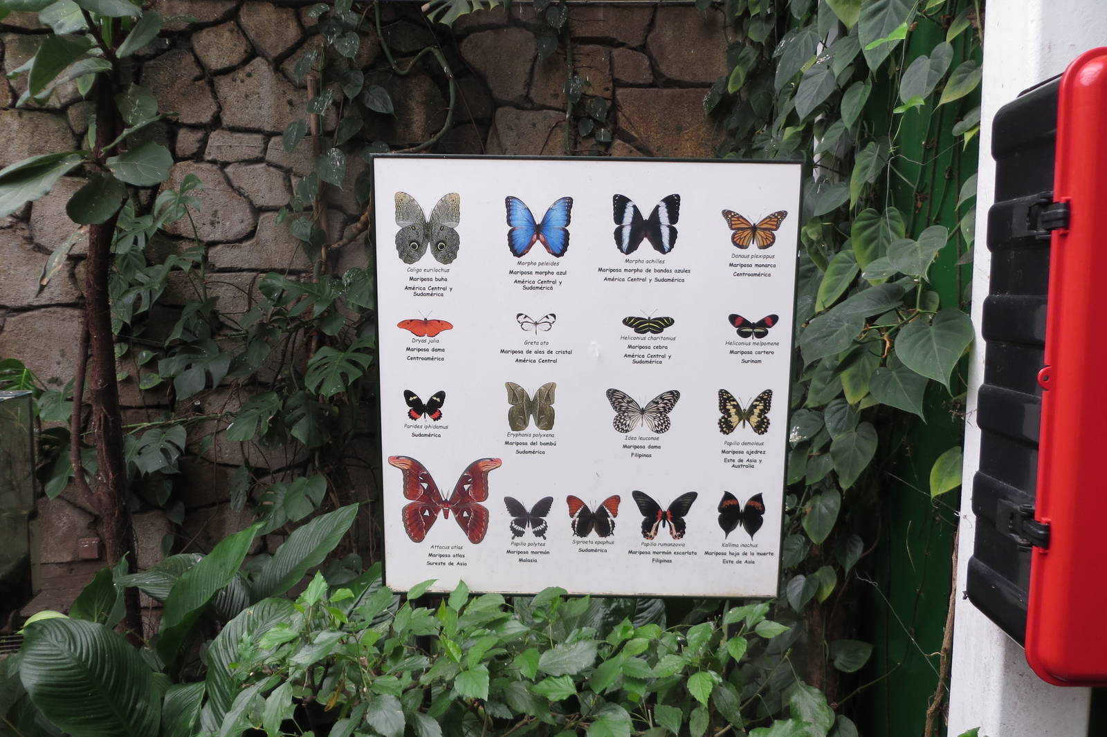 Butterfly signage 140216