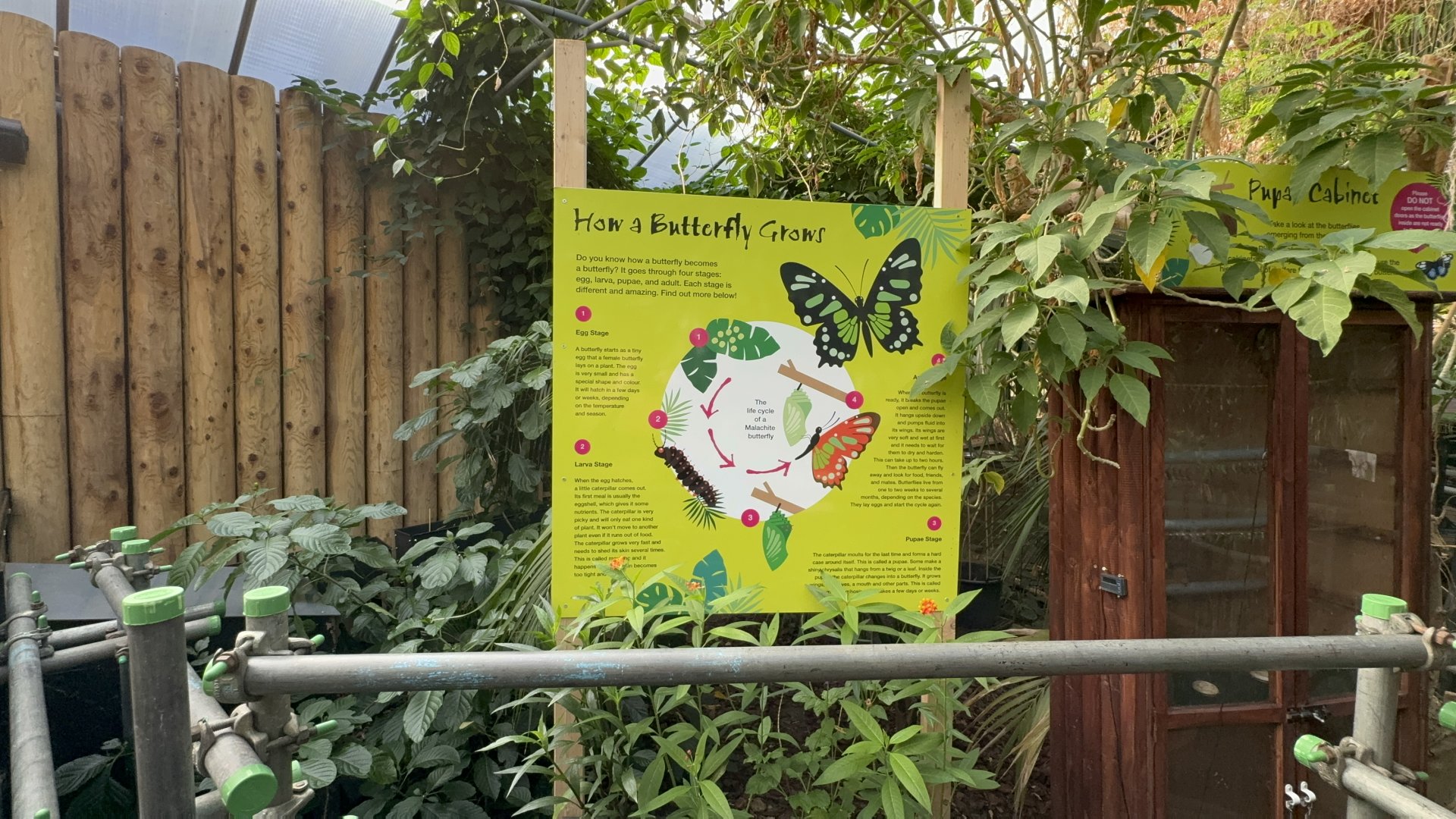 Butterfly Signage at Tropical World (October 2024)