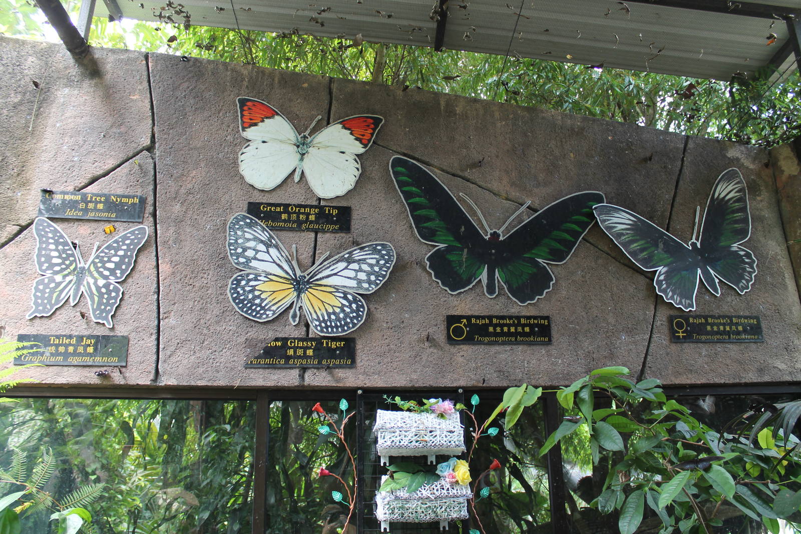 butterfly signage in the walk-through