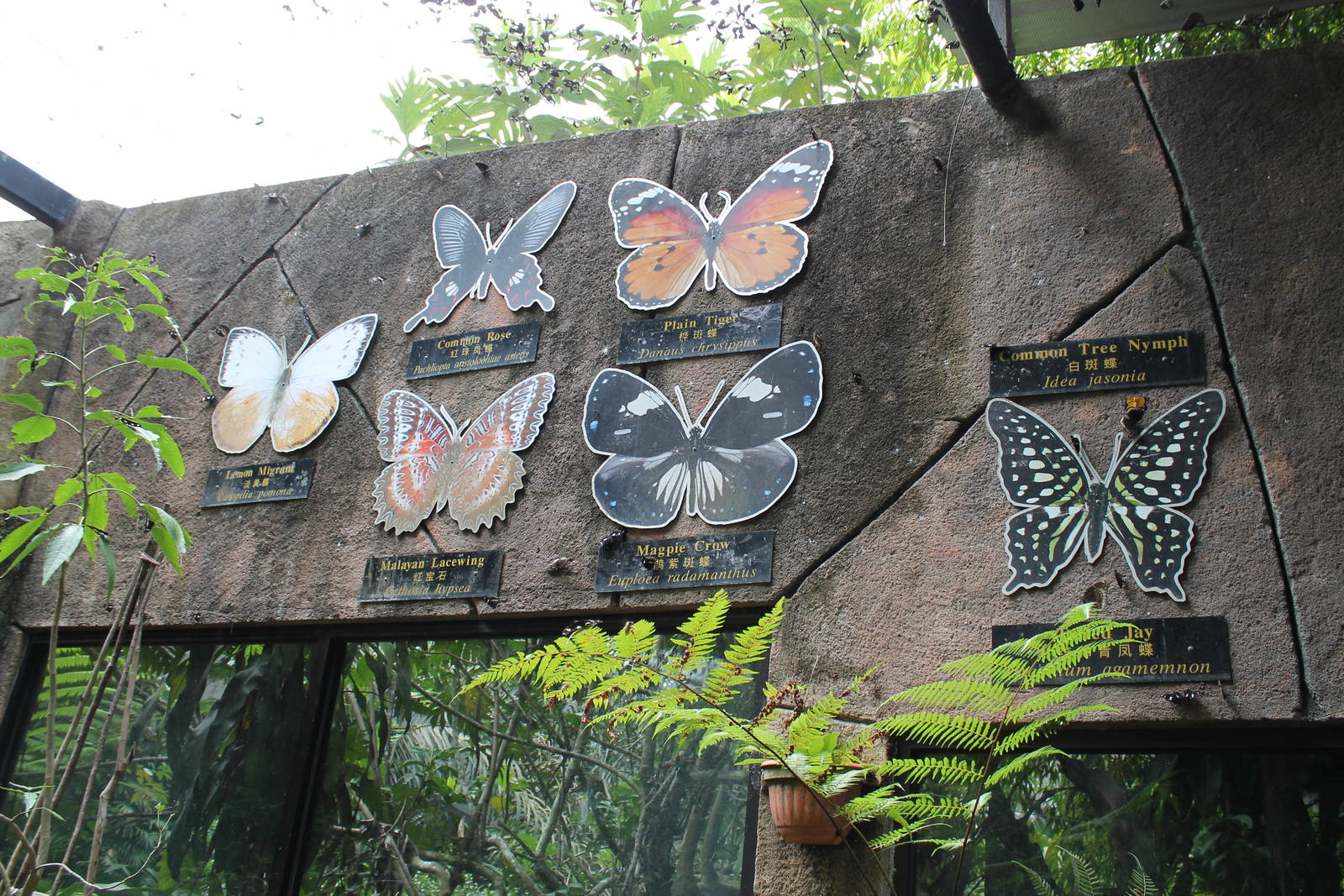 butterfly signage in the walk-through